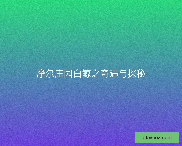 摩尔庄园白鲸之奇遇与探秘