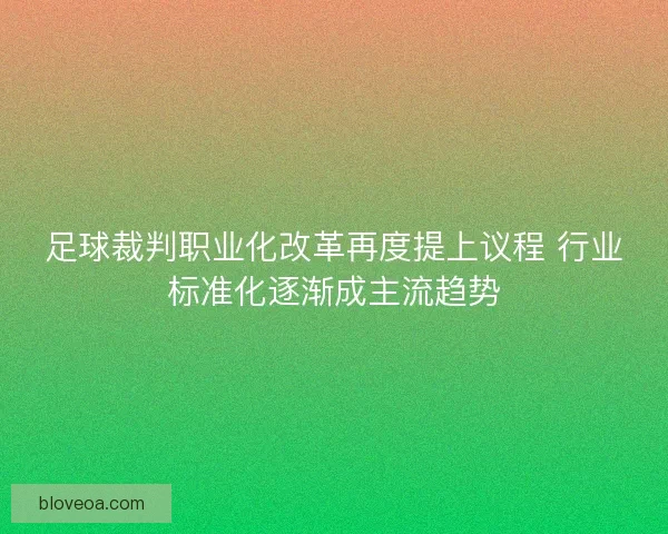 足球裁判职业化改革再度提上议程 行业标准化逐渐成主流趋势