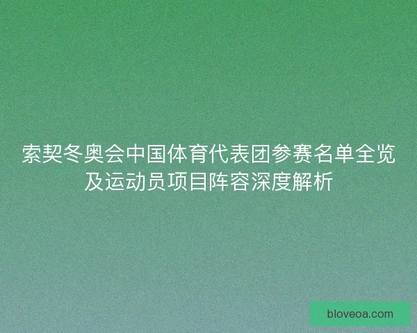 索契冬奥会中国体育代表团参赛名单全览及运动员项目阵容深度解析 索契冬奥会中国体育代表团参赛名单全览及运动员项目阵容深度解析