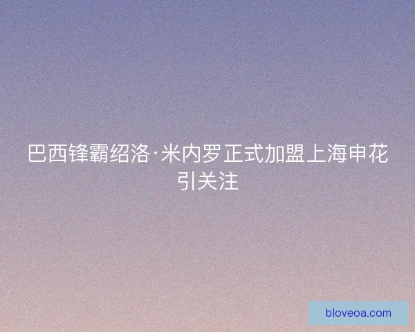 巴西锋霸绍洛·米内罗正式加盟上海申花引关注