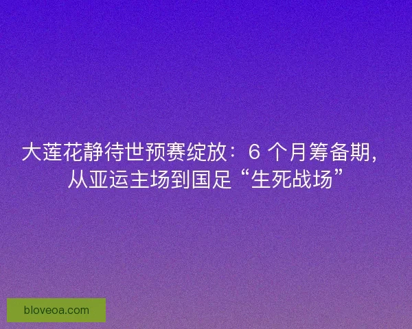 大莲花静待世预赛绽放：6 个月筹备期，从亚运主场到国足 “生死战场”