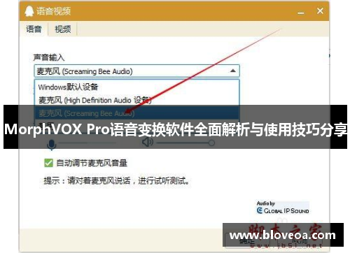 MorphVOX Pro语音变换软件全面解析与使用技巧分享